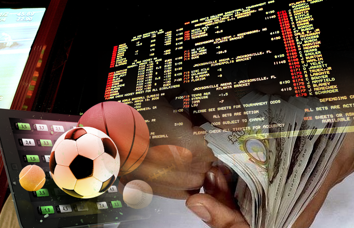 Explore the Exciting World of BetWinner
